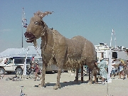 Click to enlarge photo